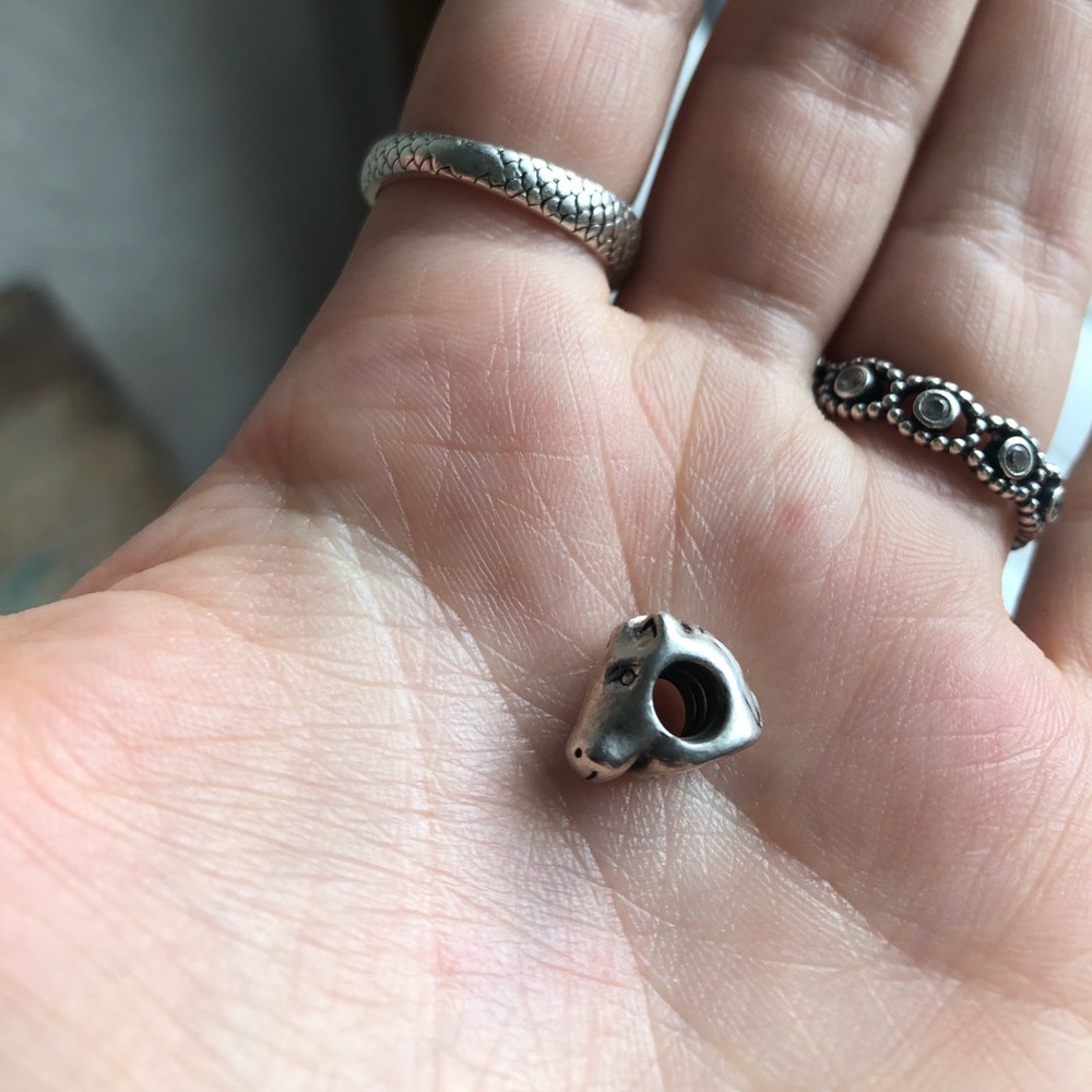 Pandora charm  20% 2+ bundles!